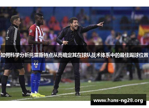 如何科学分析托雷斯特点从而确定其在球队战术体系中的最佳踢球位置