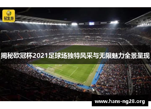 揭秘欧冠杯2021足球场独特风采与无限魅力全景呈现
